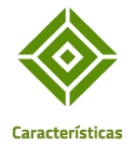 Características